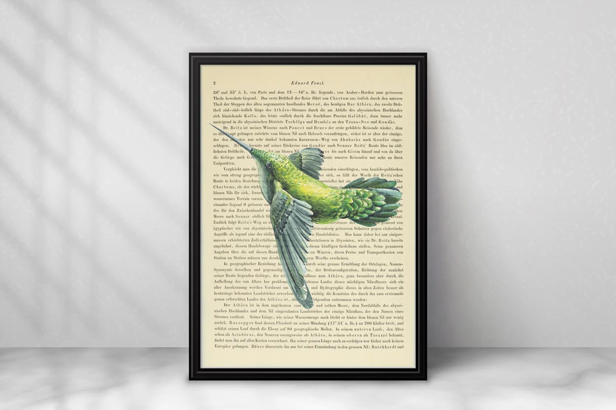 Kolibri
