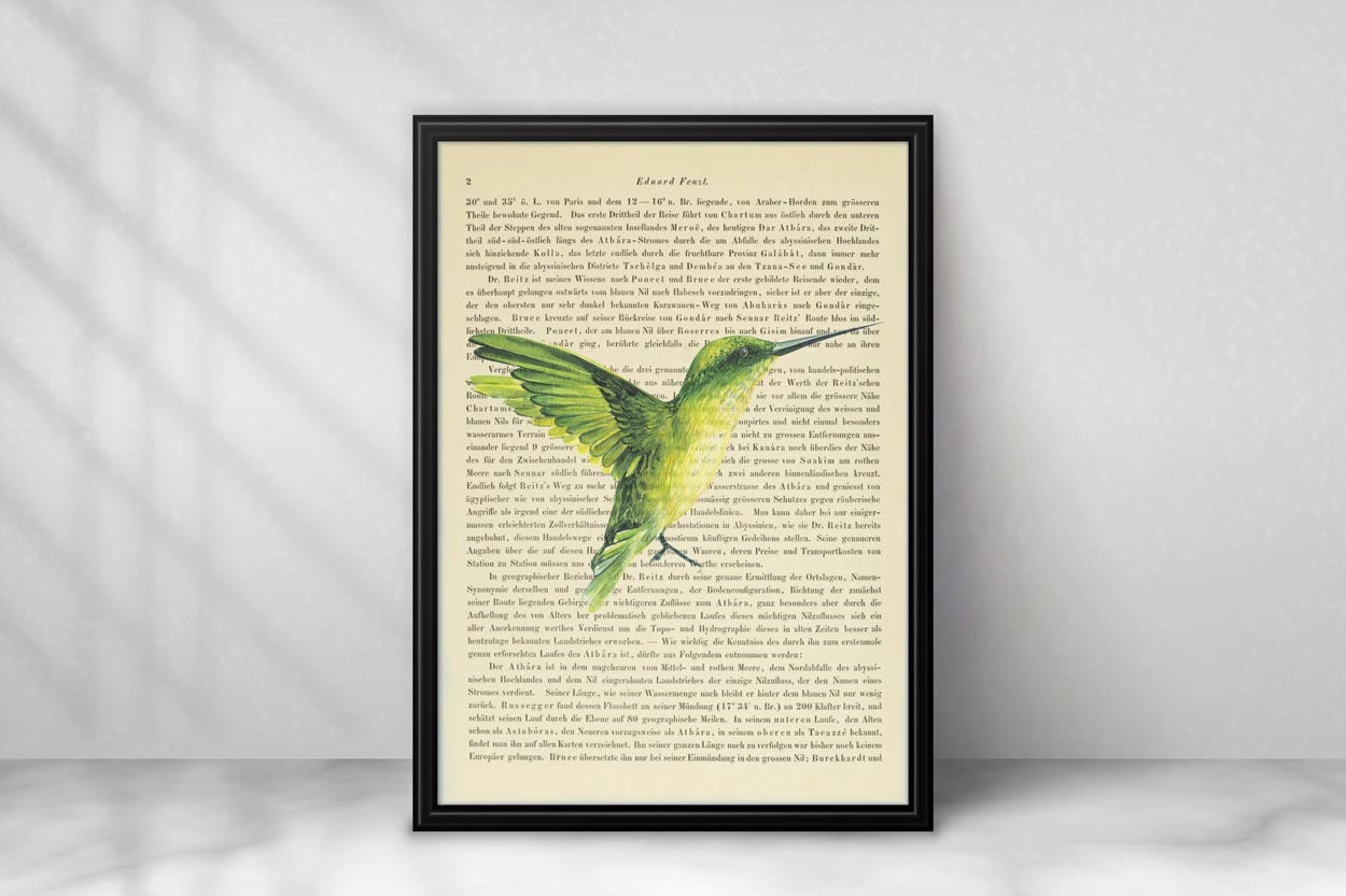 Kolibri