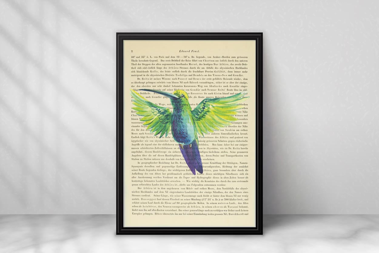 Tropische Vögel Prints - 4er Set