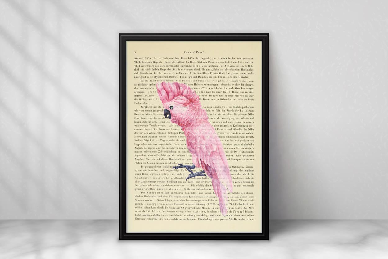 Tropische Vögel Prints - 4er Set