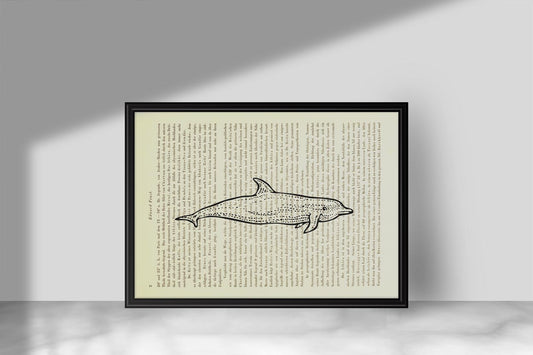 Delphin - Delphinidae