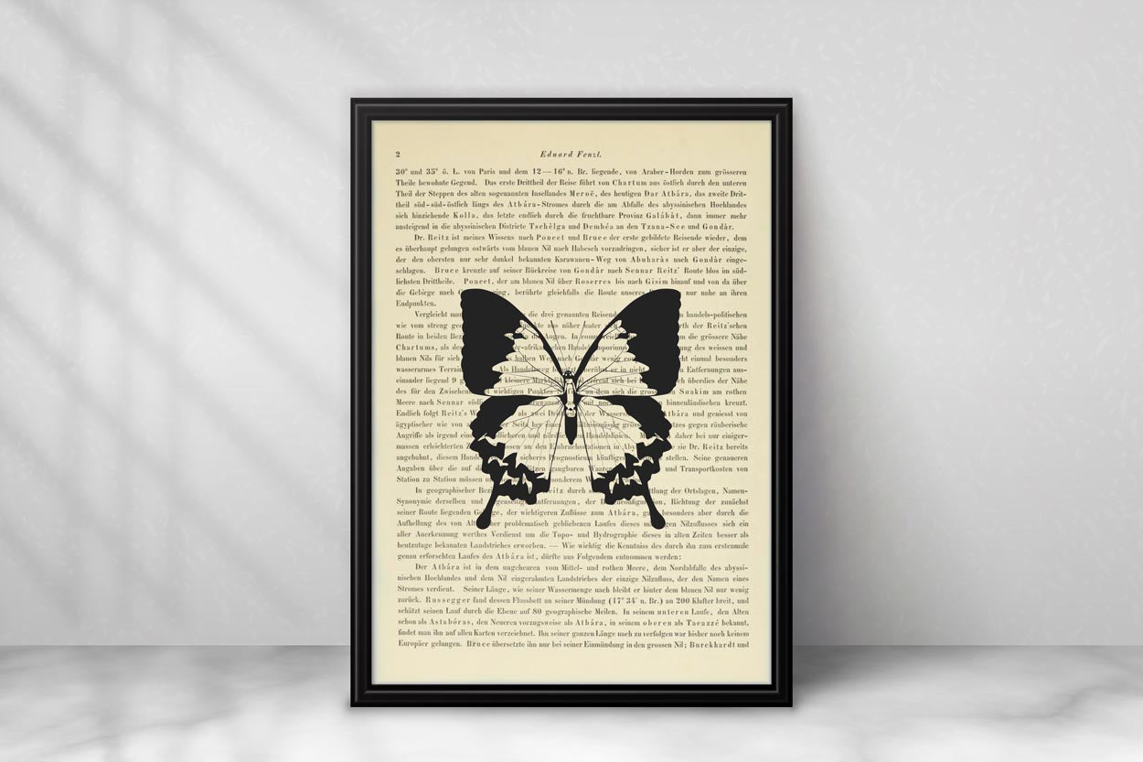 Schmetterling