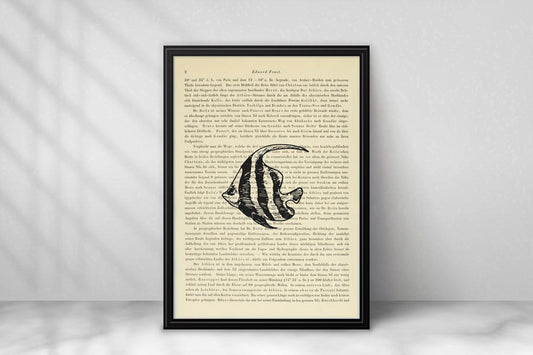 Skalar - Segelflosser