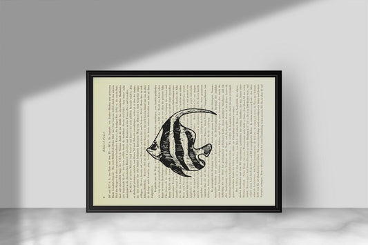 Skalar - Segelflosser