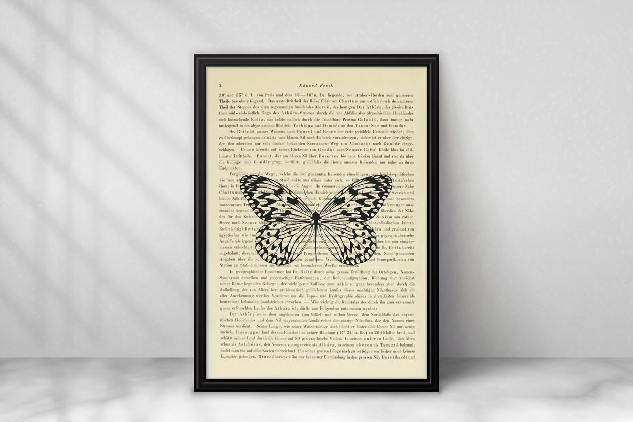 Schmetterling