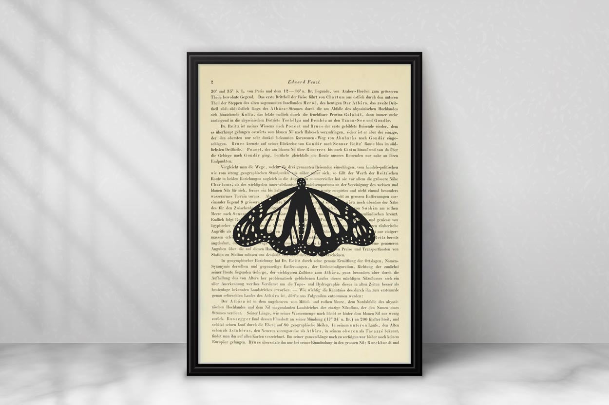 Schmetterling