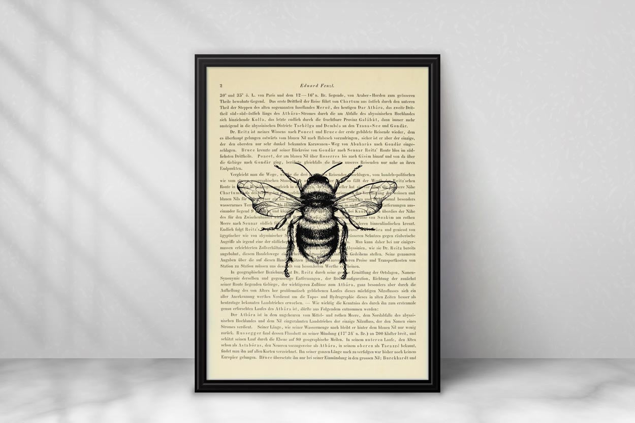 Bienen & Hummeln Prints - 4er Set