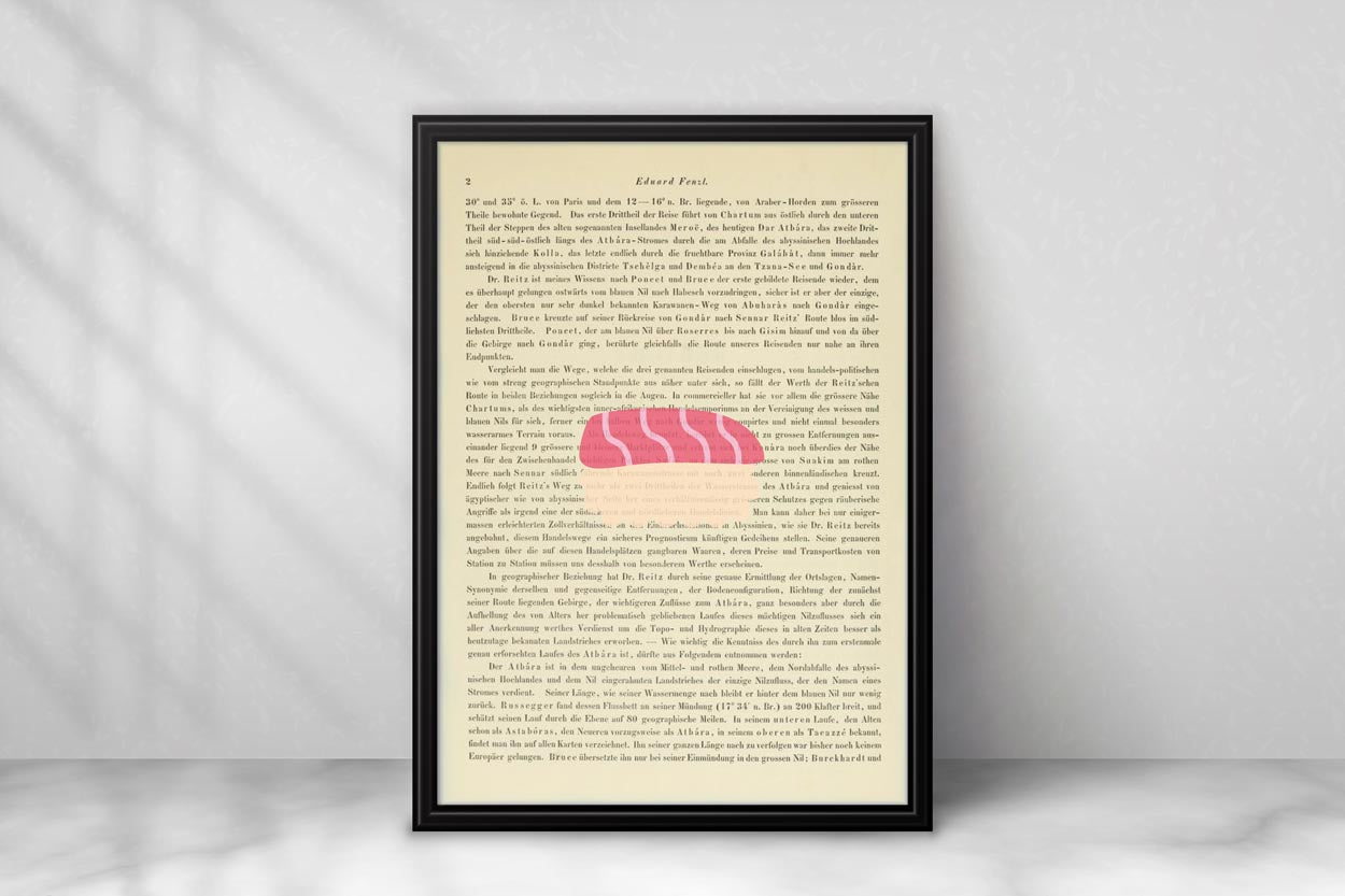 Nigiri Sushi