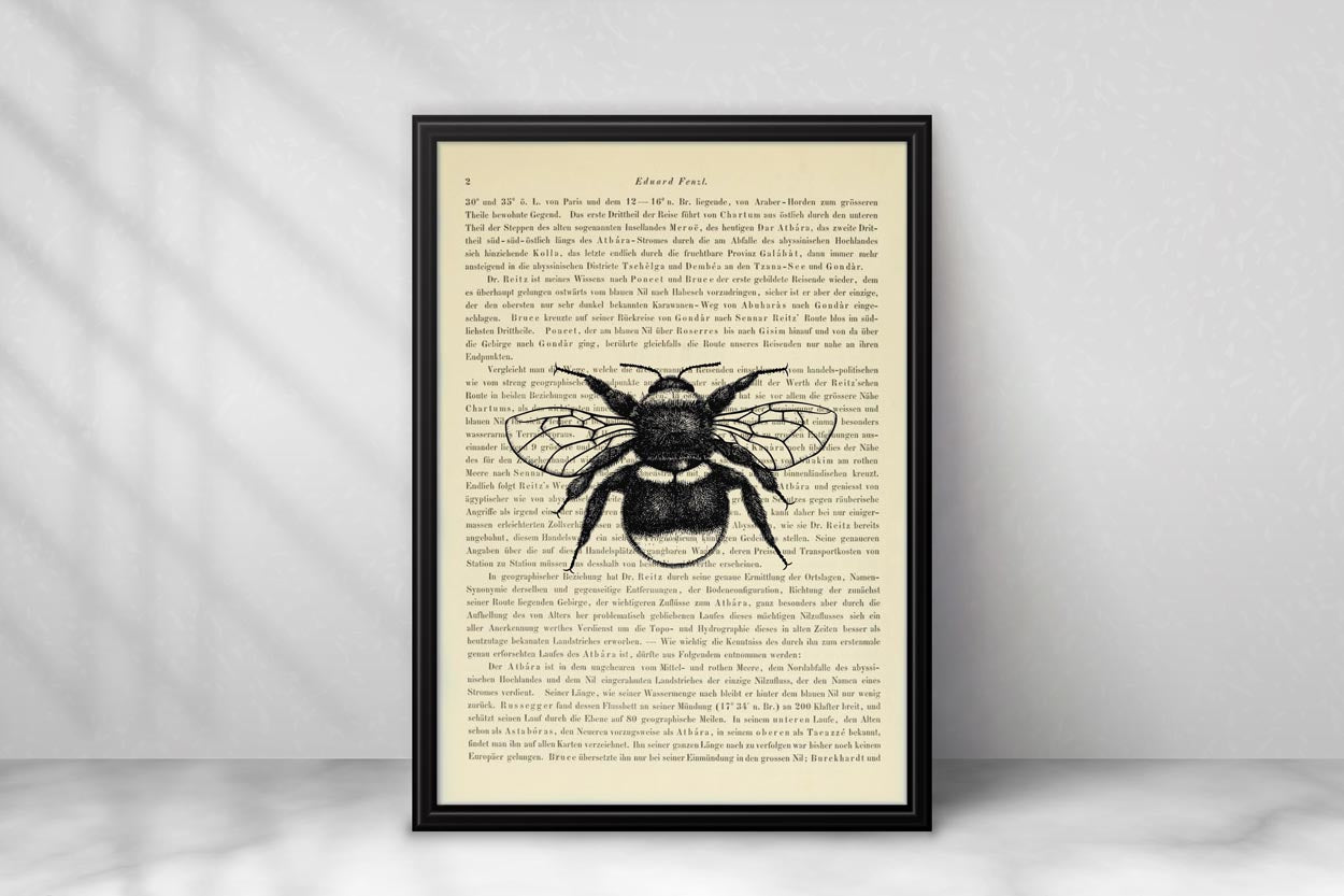 Bienen & Hummeln Prints - 4er Set