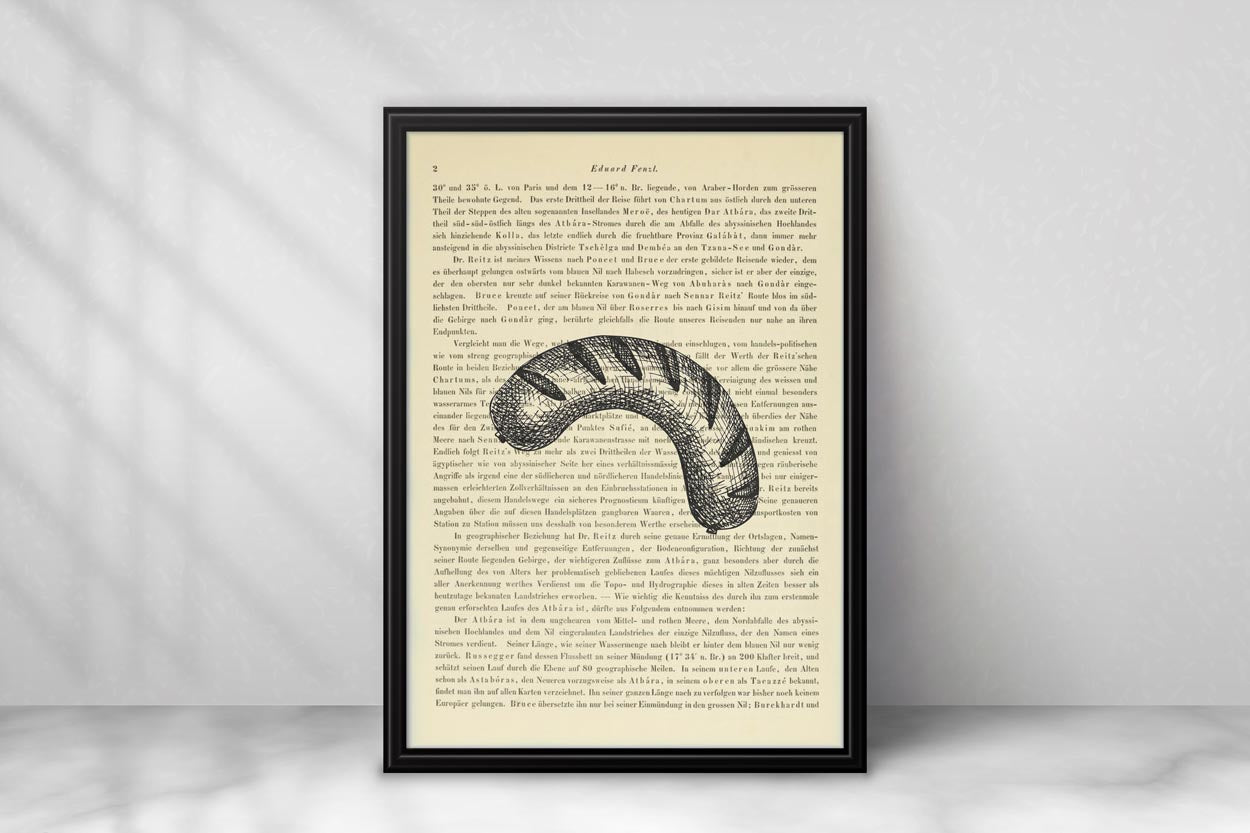 Bratwurst
