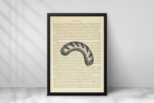 Bratwurst