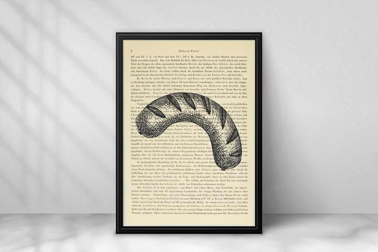 Bratwurst