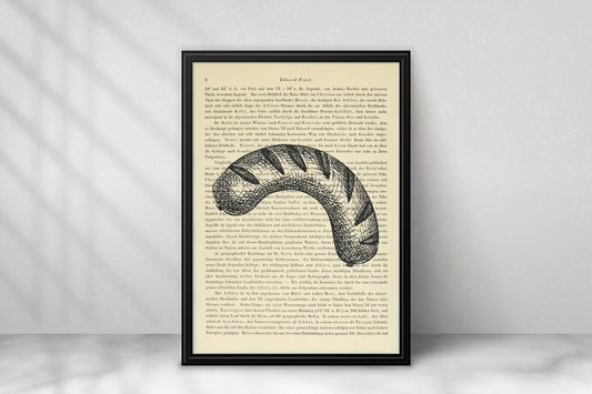 Bratwurst