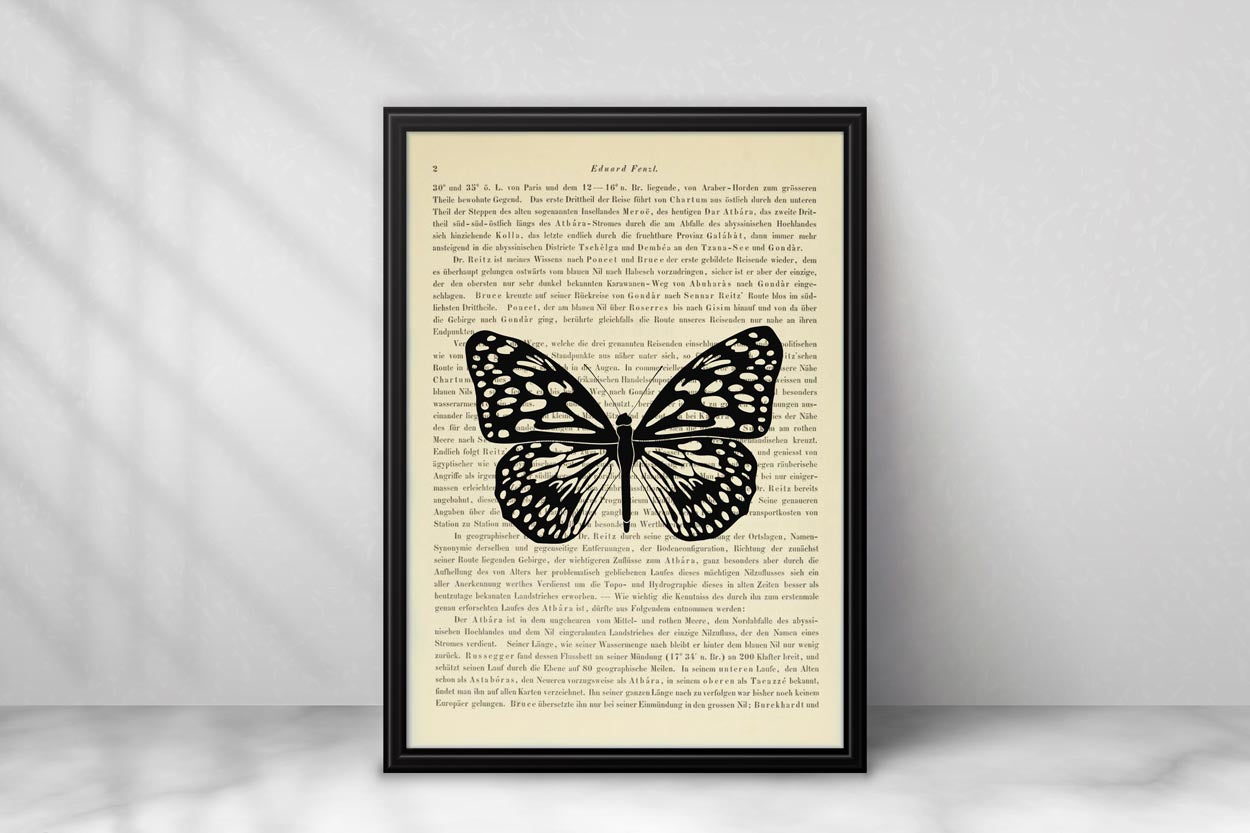 Schmetterling