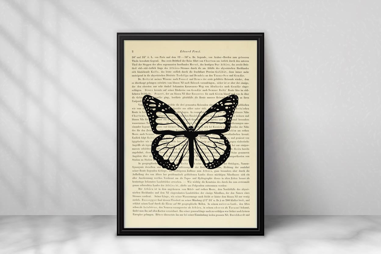 Schmetterling