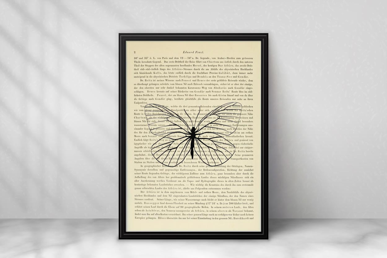 Schmetterling