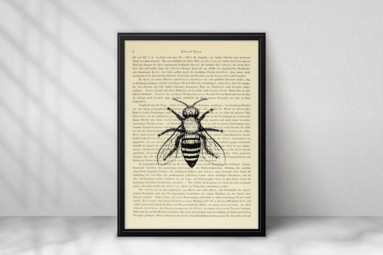 Bienen & Hummeln Prints - 4er Set