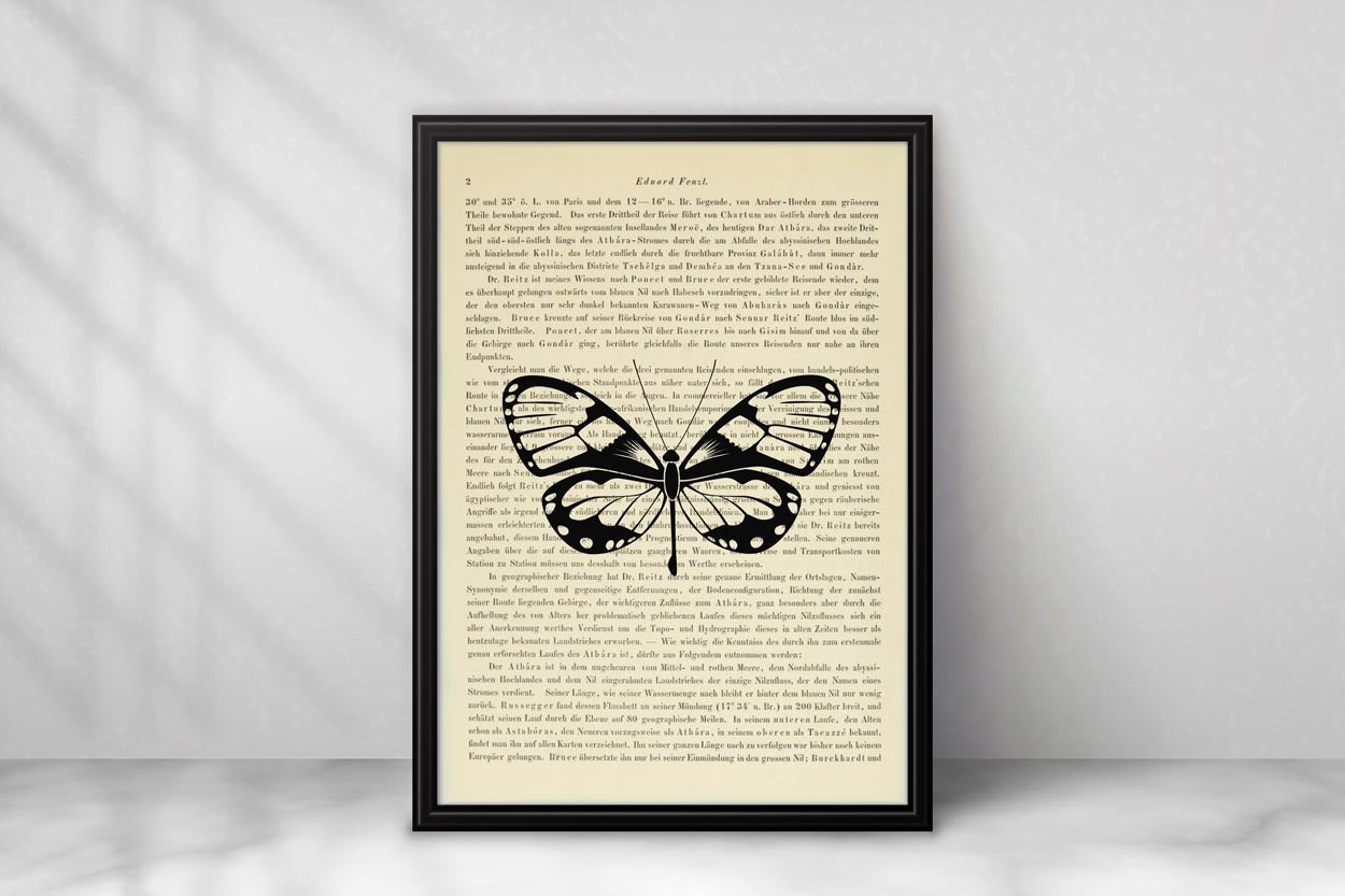 Schmetterling