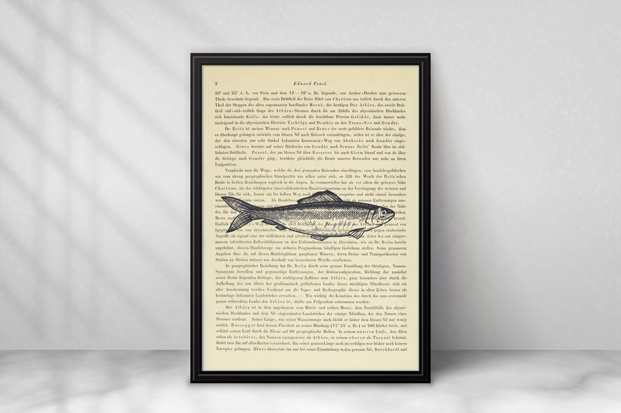Fisch