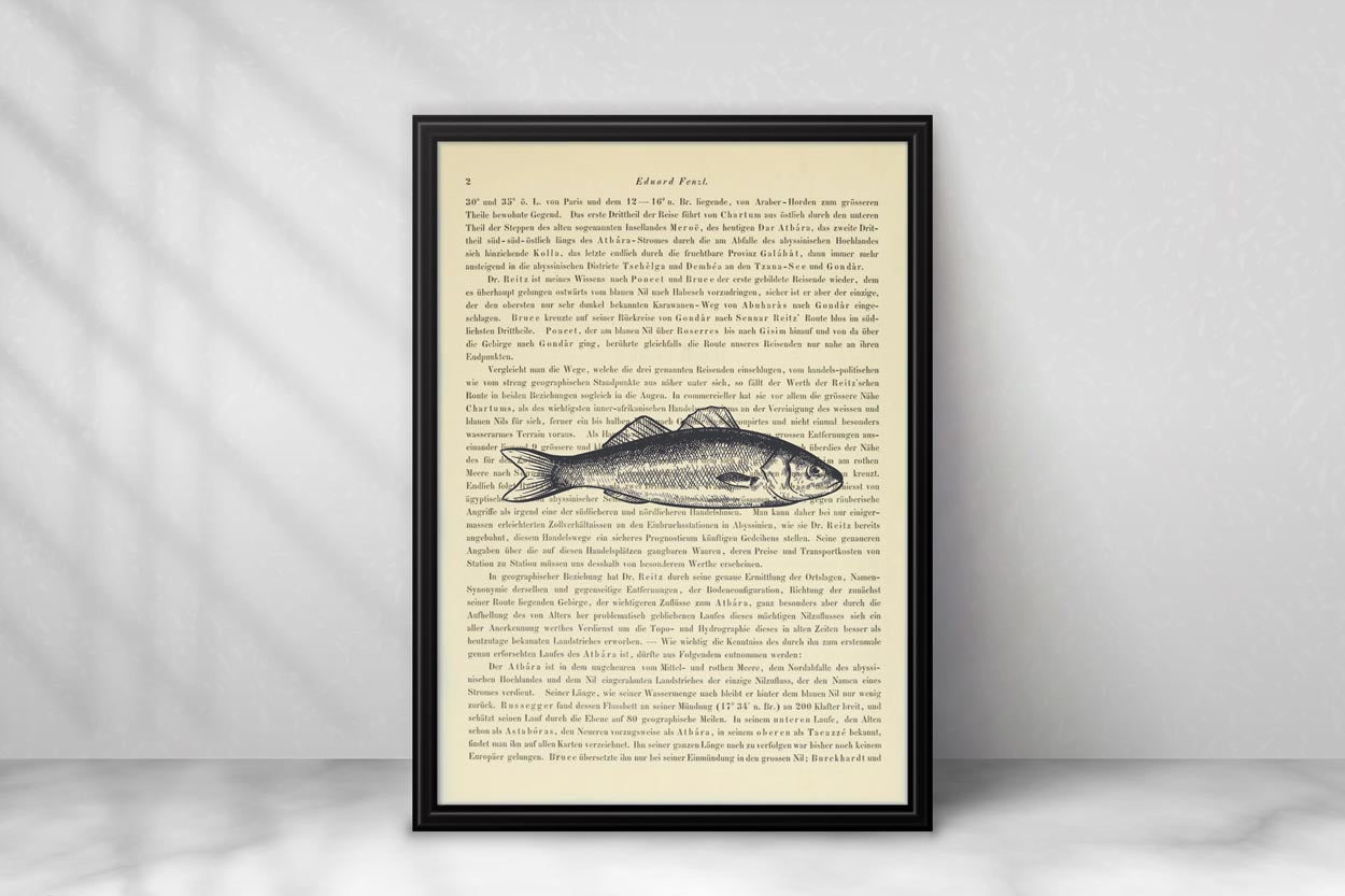 Fisch