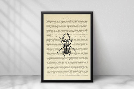 Hirschkäfer - Lucanus cervus