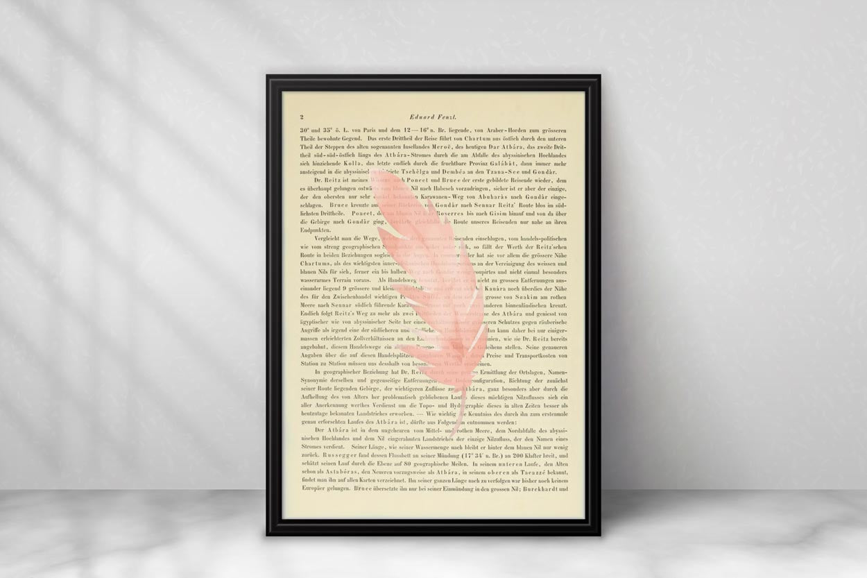Vogelfeder Pink