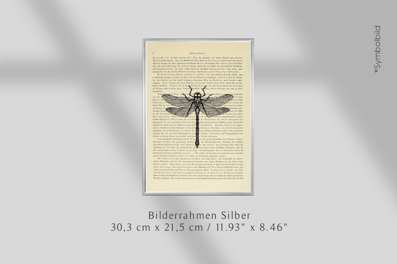 Bilderrahmen Silber