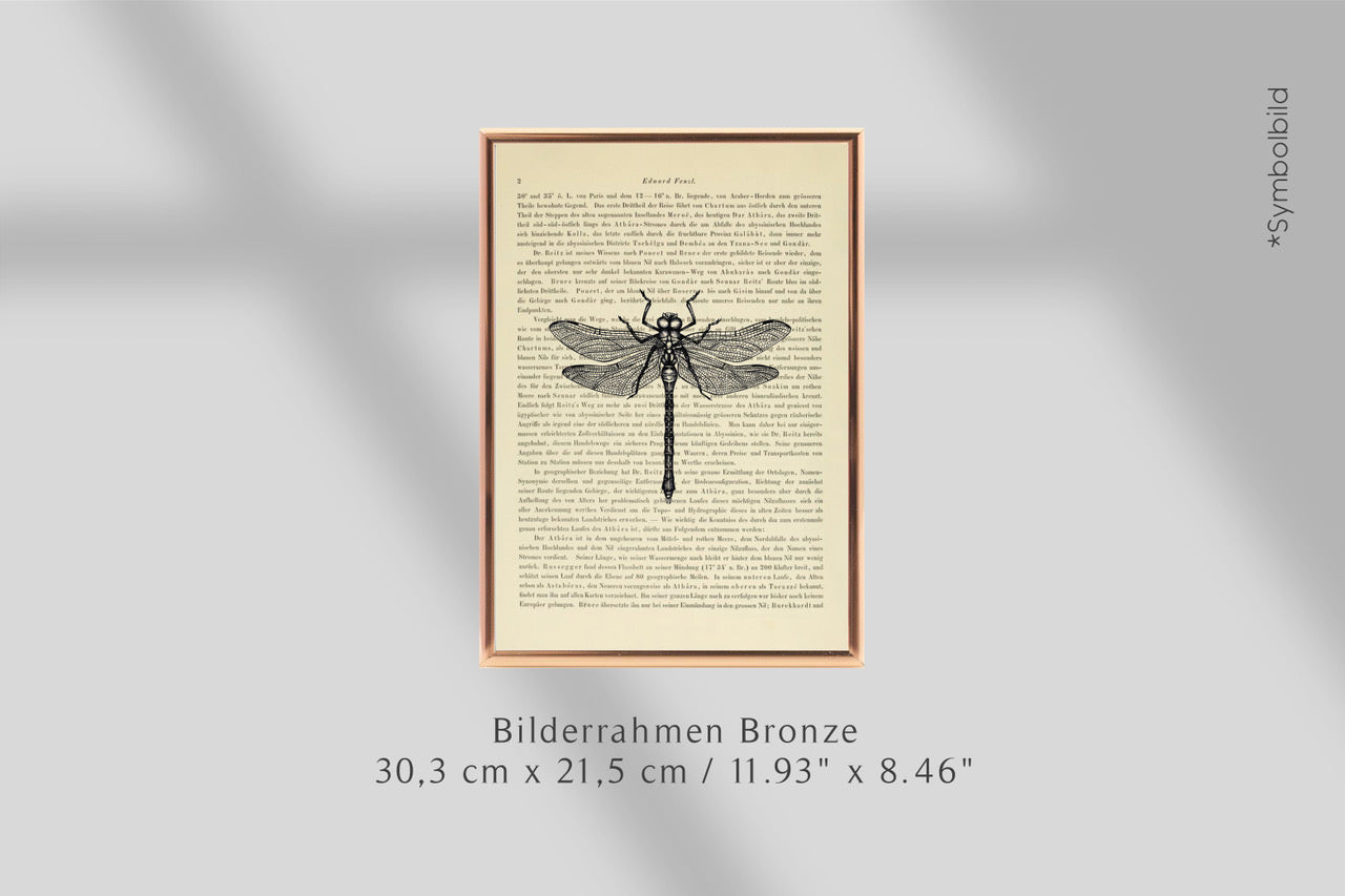 Bilderrahmen Bronze