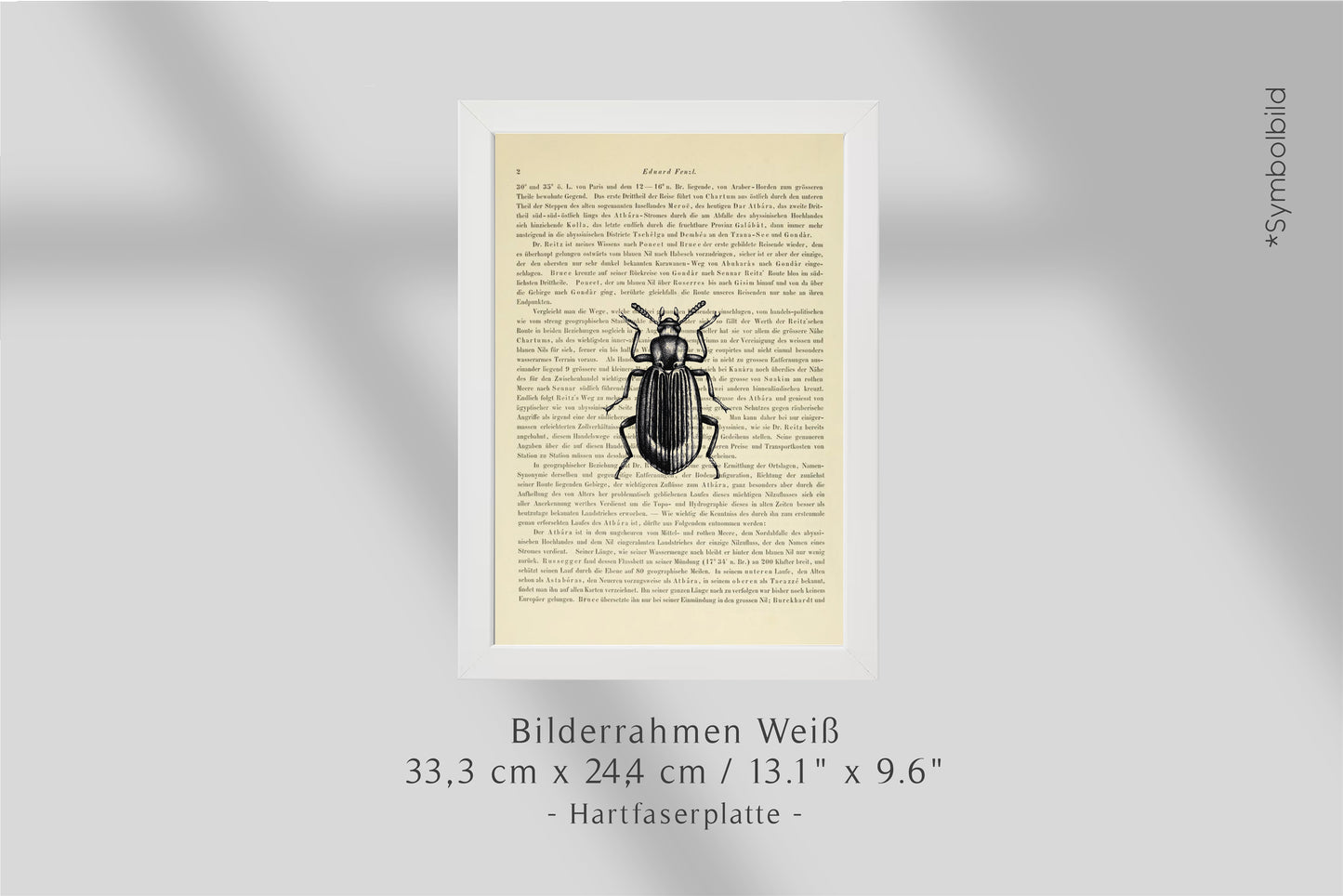 Bilderrahmen Weiß (large)