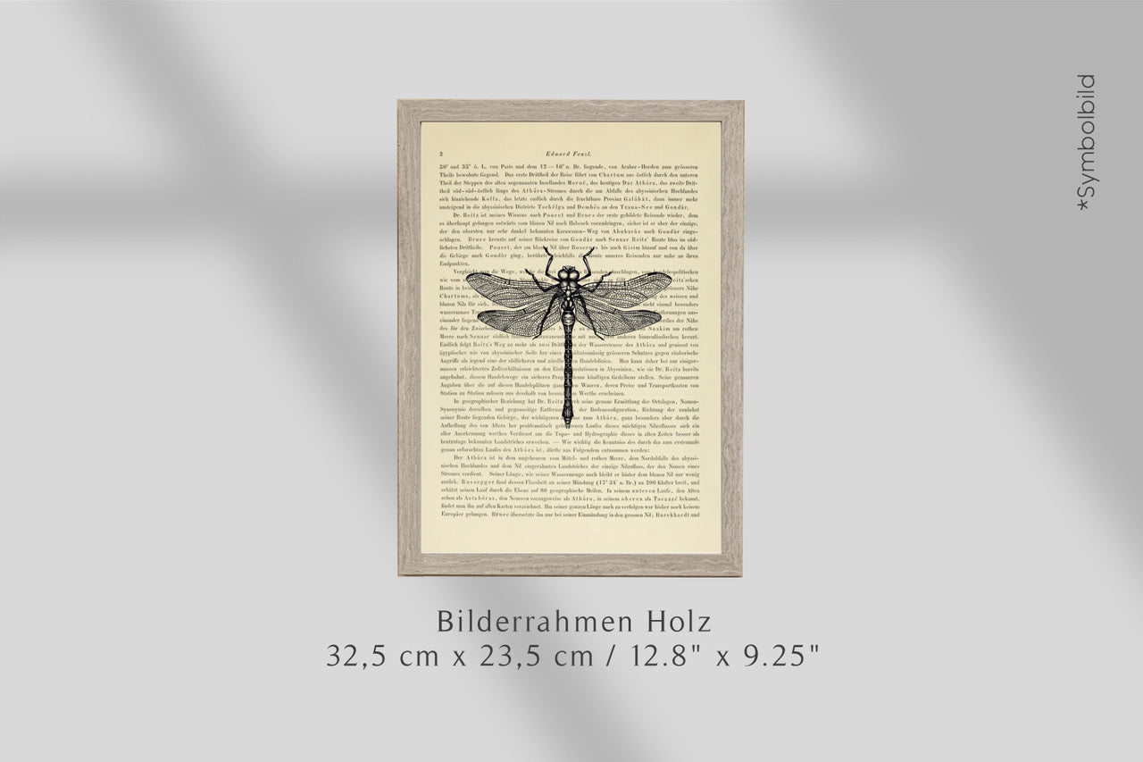 Bilderrahmen Holz (Eiche-Grau)