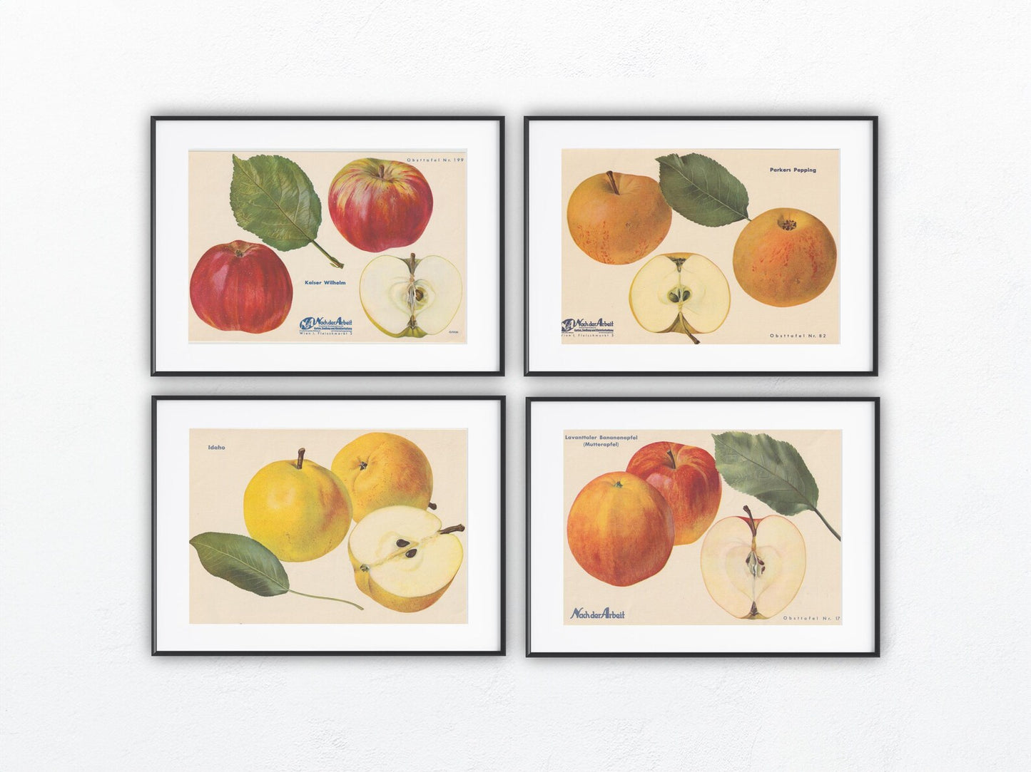 Apfel Vintage Obsttafeln 4er Set original 1940 | Lavanttal Bananenapfel Idaho