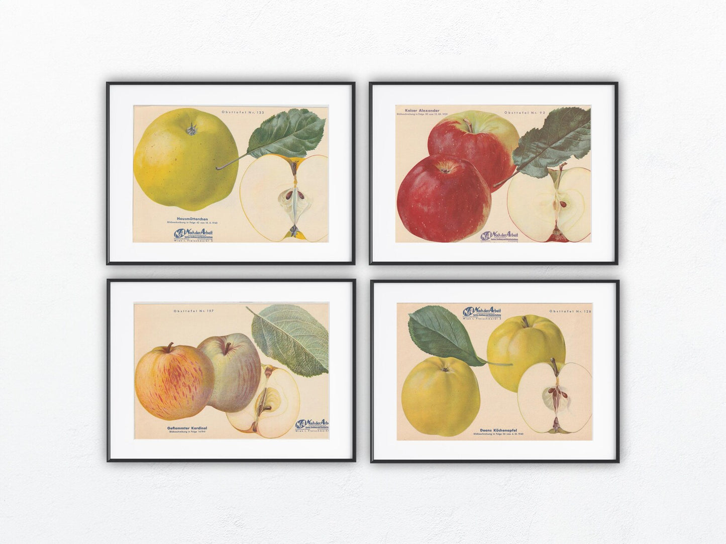 1940 Äfpel Vintage Obsttafel 4er-Set original | Wanddeko Apfel Obst Früchte Küchenapfel