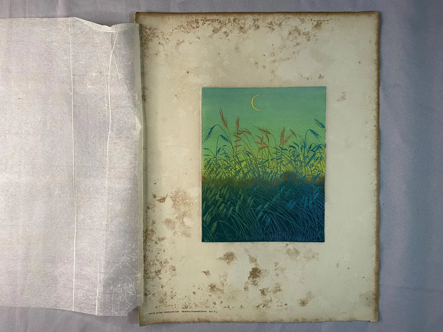 Artur Illies Mondaufgang 1900 Original Farbenätzung | Jugendstil Landschaft
