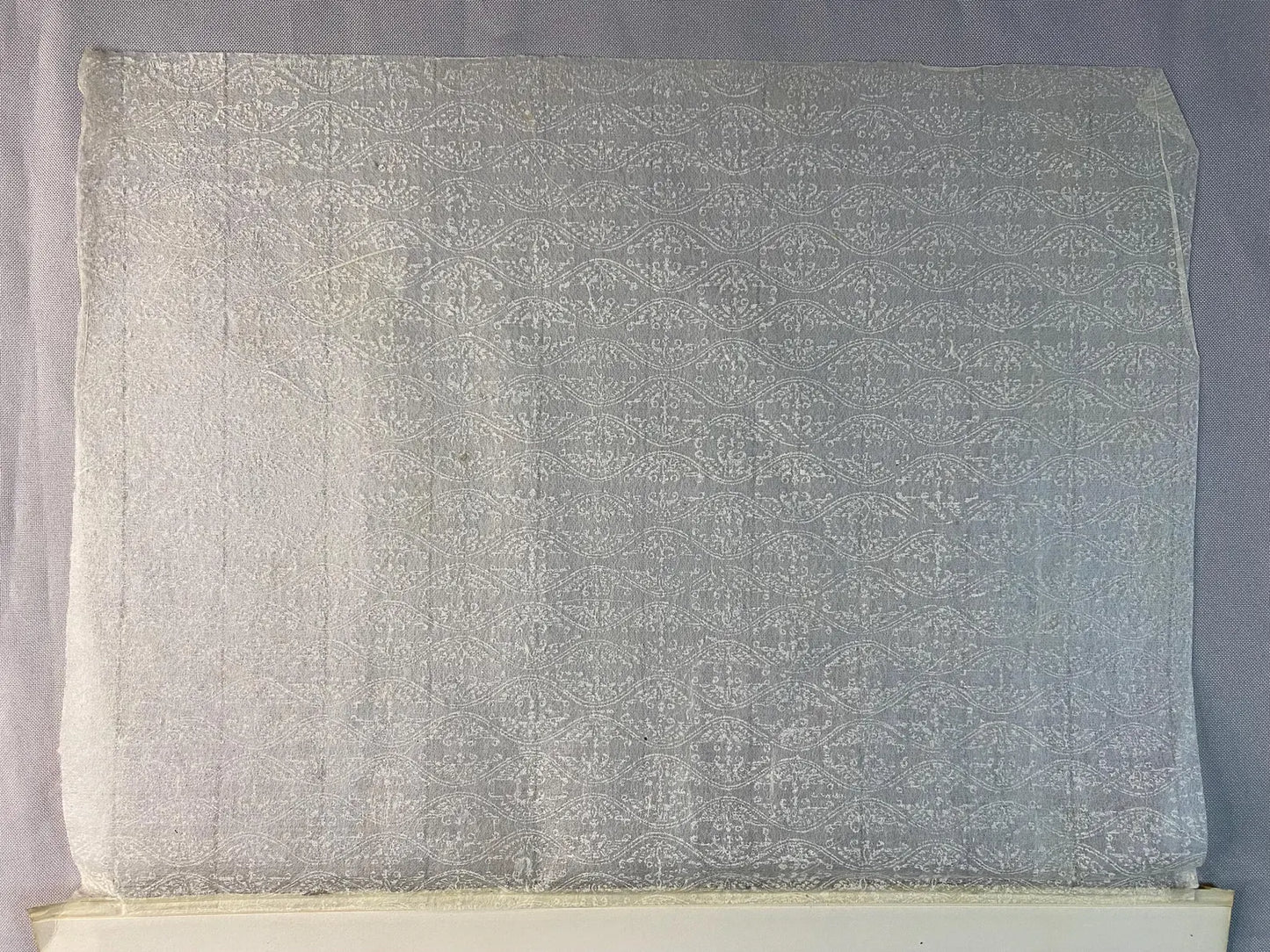 Original Druck Pflanzenstudien 1900 | Historische Naturstudien Botanik