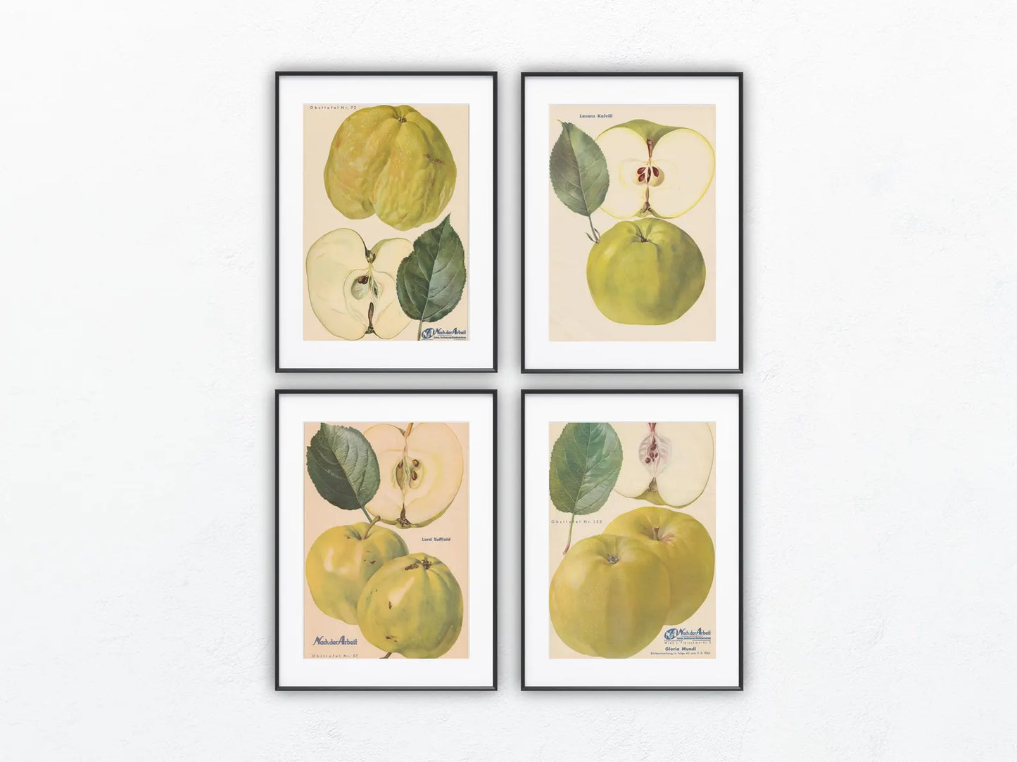 Apfel Vintage Obsttafel 4er-Set 1940er Wanddeko | Gloria Mundi Kalvill