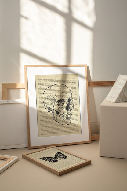 Skull, Denkschrift der Akademie der Wissenschaften in Wien - 3er Kombination