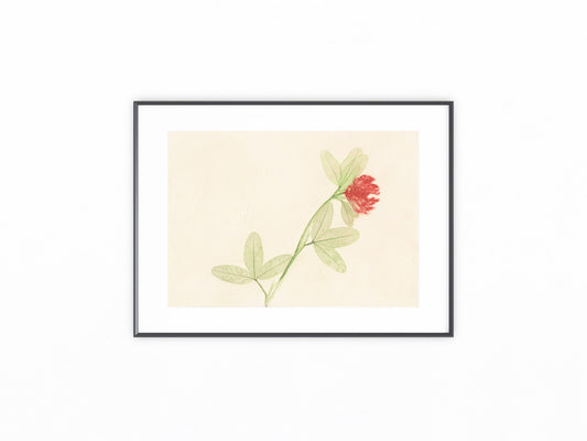 Klee Naturselbstdruck 1899 Originaldruck