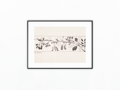 Art Nouveau Jugendstildruck Fräulein Ferber Berberitzen 1900 | Original Grafik Vintage