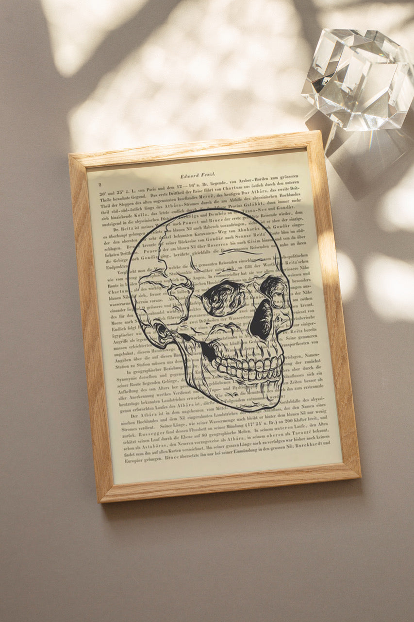 Skull, Denkschrift der Akademie der Wissenschaften in Wien - 3er Kombination