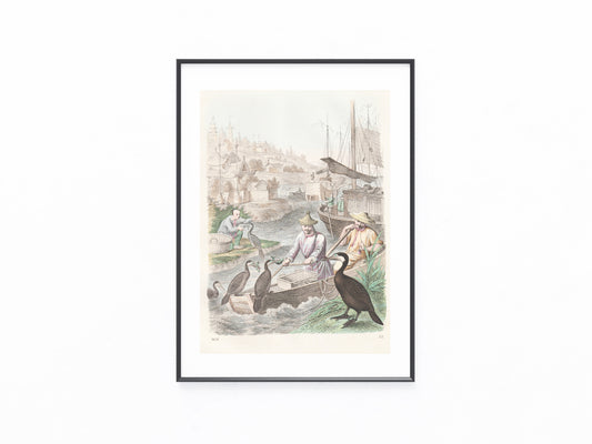 Original Kormoranfischerei 1858 Komorane Jagen
