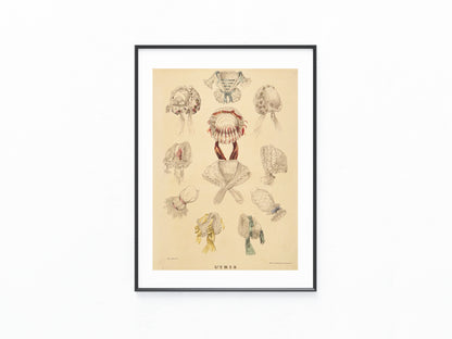 1850 Damenhauben & Kragen | Handkolorierter Druck Original L'IRIS Modegrafik