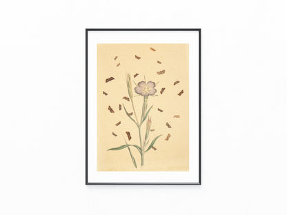 1850 Original Naturstudie Blüte & Schmetterlinge | Handkolorierter Kupferstich