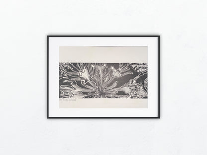 Jugendstil Druck Artur Illies Orchidee 1900 | Blumen Schmetterling | Vintage Art