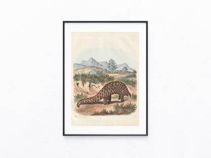 Original Schuppentier Tafel 1856 Lithografie Tiere