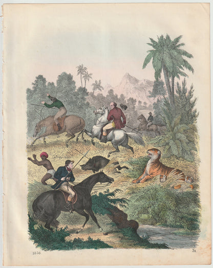 Original Tigerjagd Tafel 1856 Tiger Lithografie