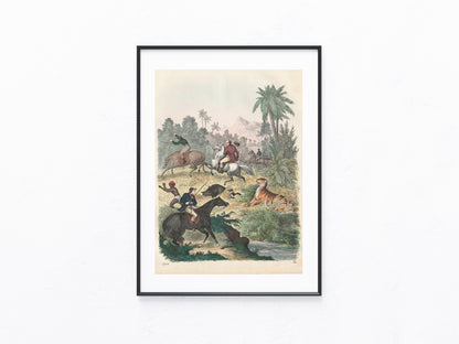 Original Tigerjagd Tafel 1856 Tiger Lithografie