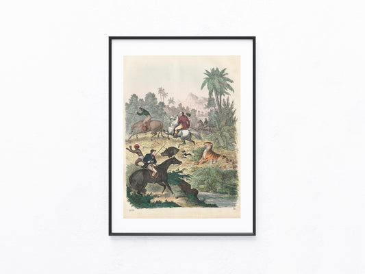 Original Tigerjagd Tafel 1856 Tiger Lithografie