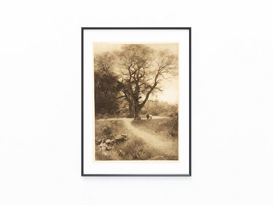 Original Grafik Karlsbad 1890 | Spaziergang Schillerpark | Historische Kurort-Szene Böhmen