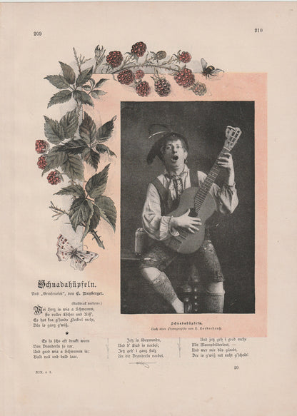 Original Illustration Schnadahüpfln Himbeeren 1890