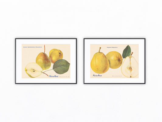 Birne Vintage Obsttafel Duo original 1940